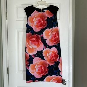 Calvin Klein black sheath dress / orange & pink floral Size 12.